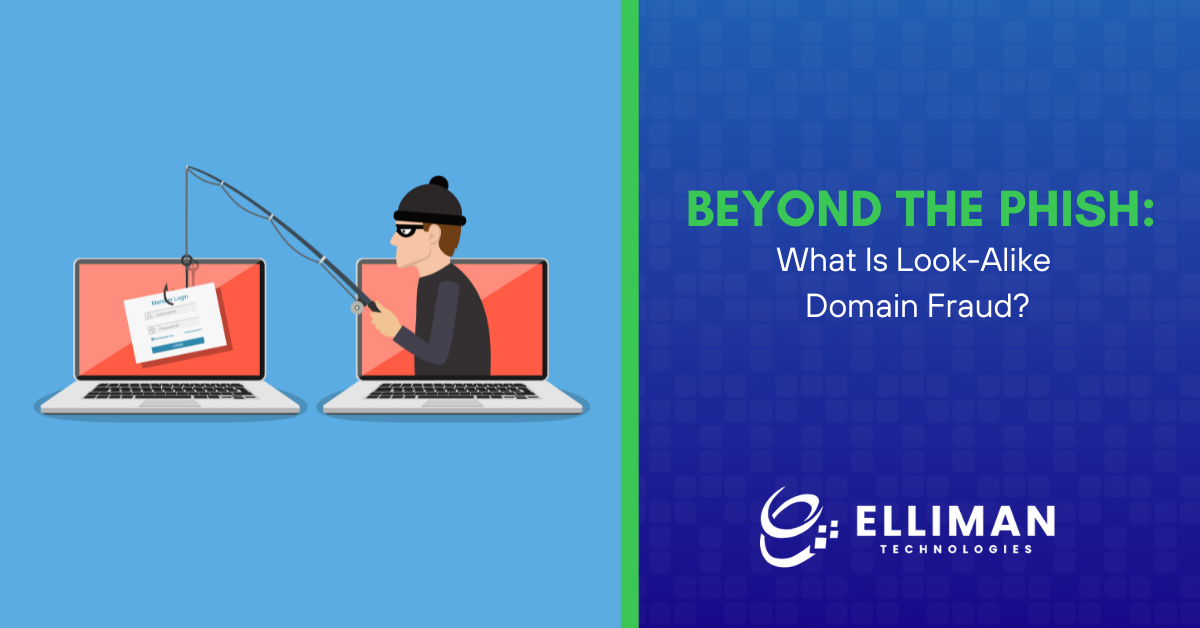 Beyond the Phish What Is Look-Alike Domain Fraud?